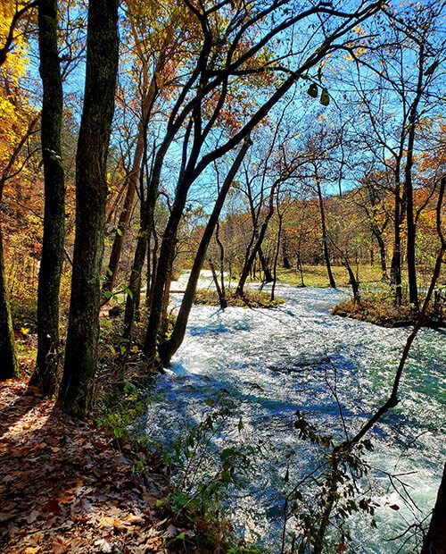 Alley Spring Mill
