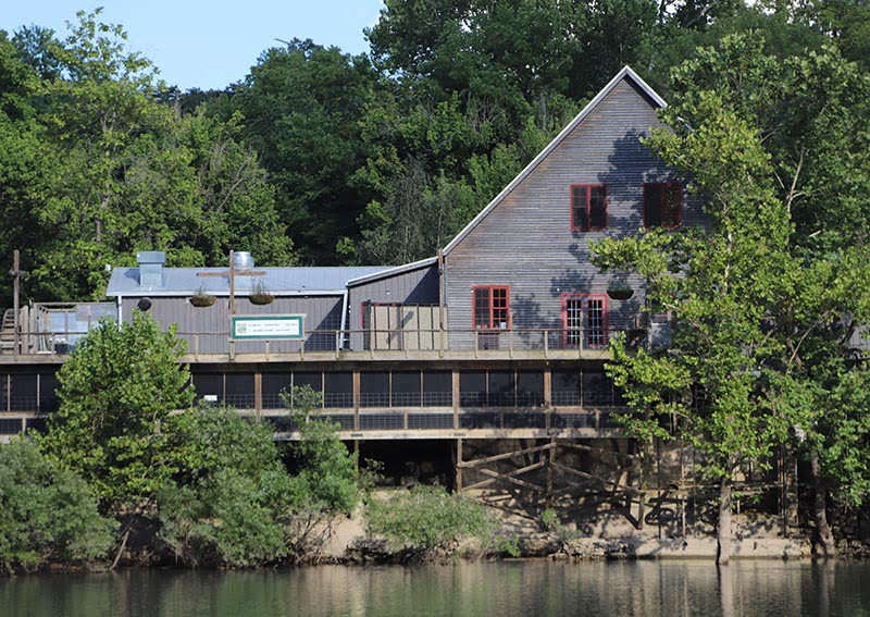 Dawt Mill Missouri