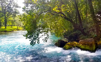 SPRINGS and FALLS MISSOURI