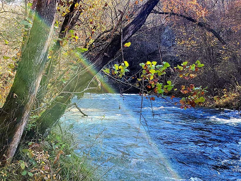 Blue Spring Shannon County Missouri