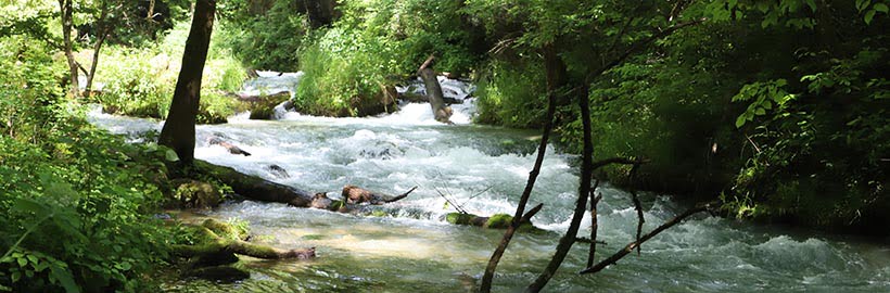 Greer Mill Spring - Missouri