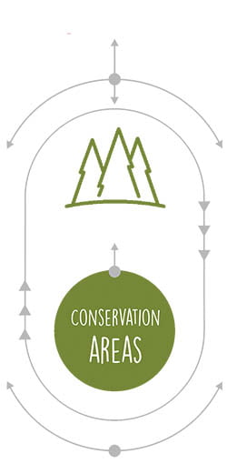 Conservation Areas