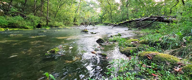 Big Spring - Spring Creek Missouri