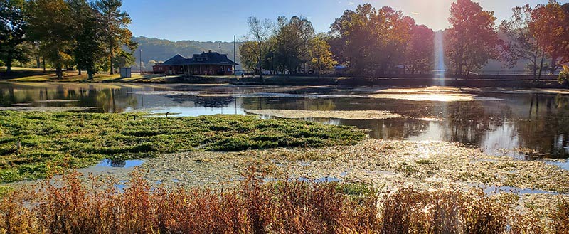 Mammoth Spring State Park