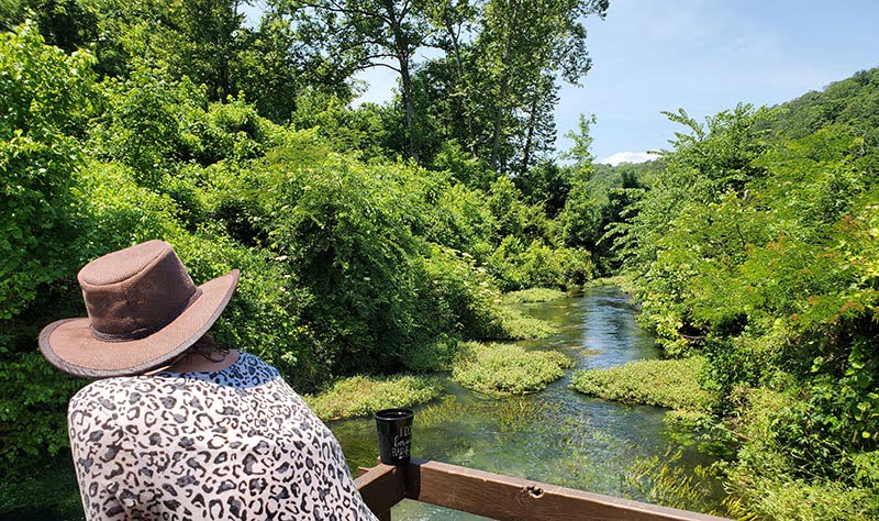 Althea Spring Missouri
