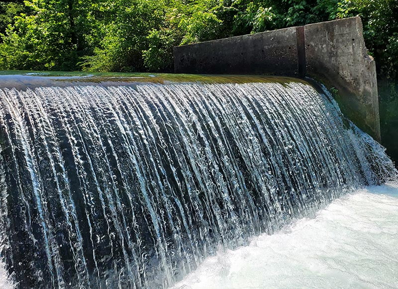 Althea Spring Missouri