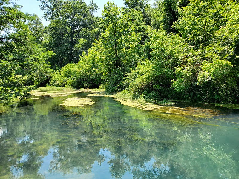 Althea Spring Missouri