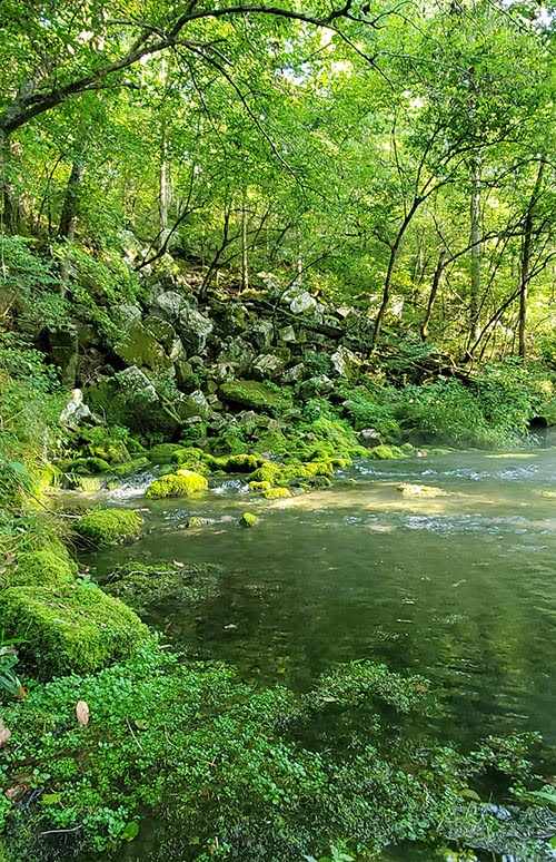 Big Spring Missouri