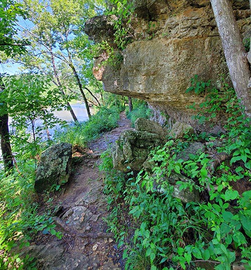 Blue Spring North Fork Missouri