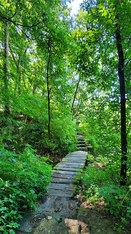 Blue Spring North Fork Missouri