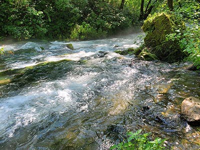 Greer Spring Missouri 