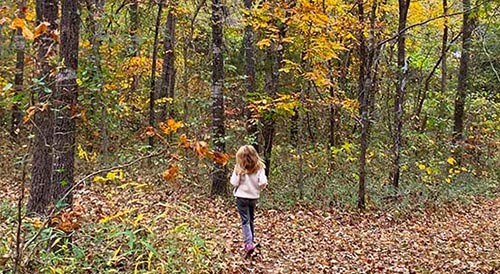 West Plains Missouri Point of Interest Spring Hiking