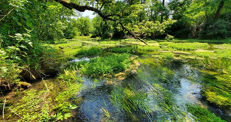 Round Spring Missouri