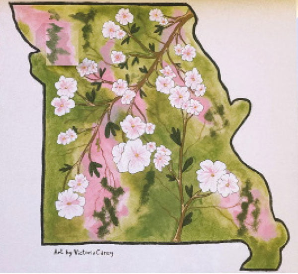 MISSOURI DOGWOOD MURAL