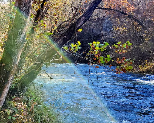 Blue Spring Missouri