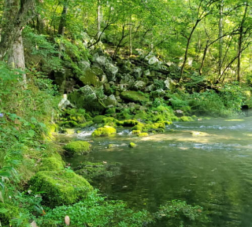 BIG SPRING Missouri 