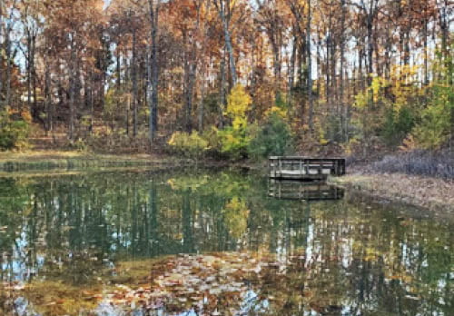 Missouri Department of Conservation