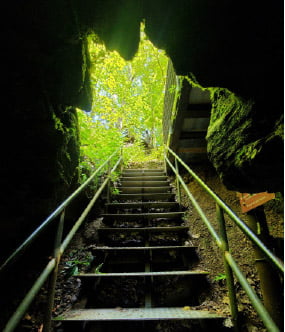 Cave Spring Trail