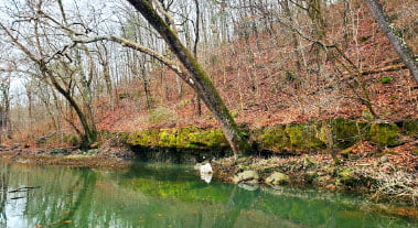 West Plains Missouri Point of Interest Spring Hiking