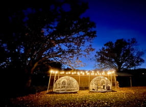 Viandel Vineyard Missouri
