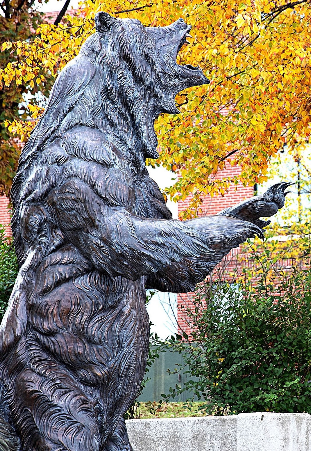 GRIZZLY STATUE