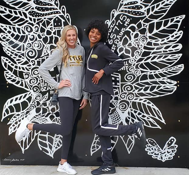 Wings Mural