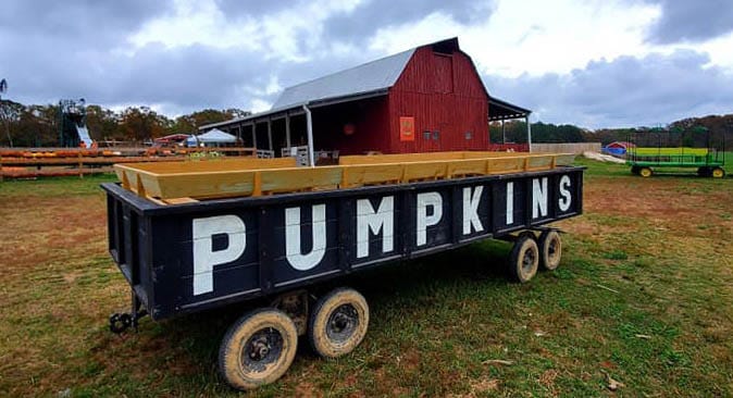 McWilliams Pumpkin Patch